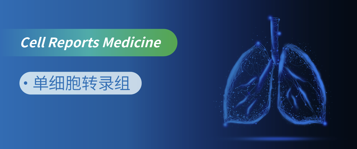 单细胞转录组揭示肺磨玻璃结节到实性肺癌进展的多细胞生态位