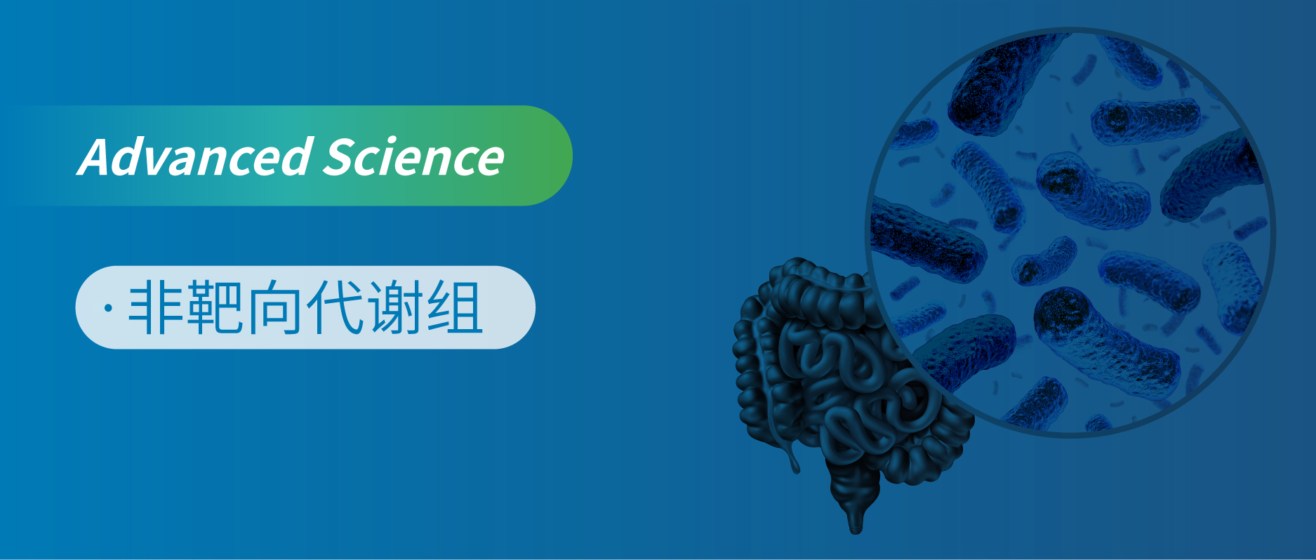 “非靶向代谢组学揭示新型细菌B. coccoides在解决代谢紊乱中的关键作用”