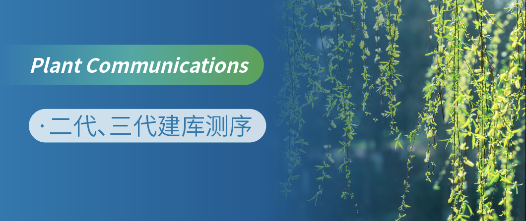 杨柳科植物——乌柳的T2T组装揭示了其极端环境适应的进化特征