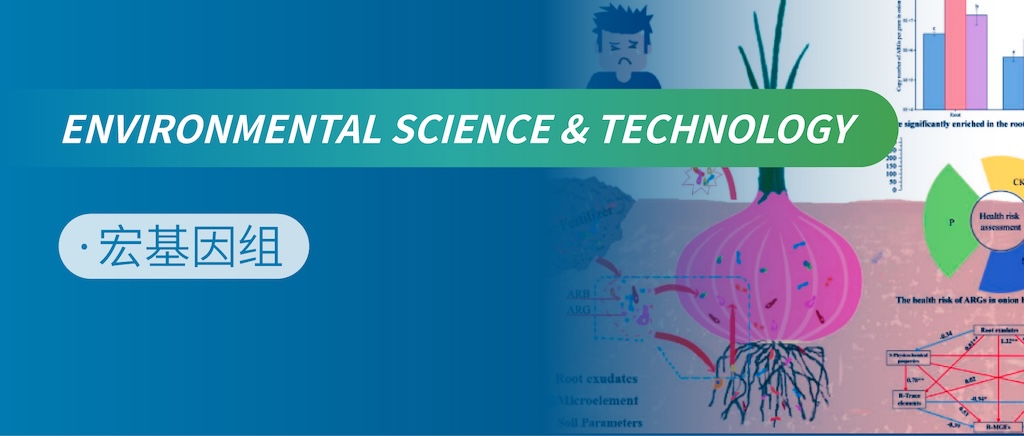 有机肥下ARGs的风险研究：根系分泌物是关键密码