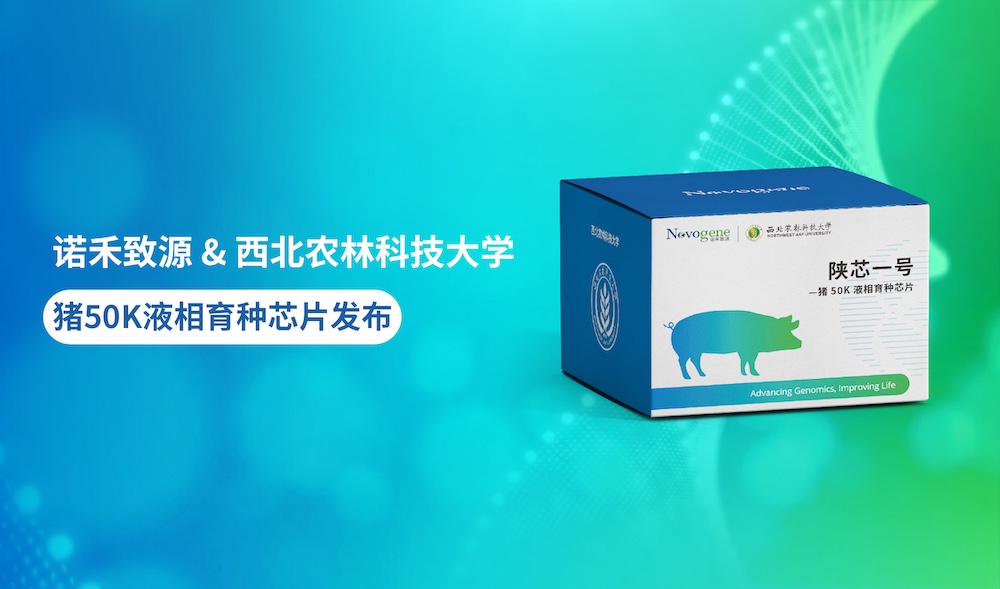 诺禾致源与西北农林科技大学联合发布“陕芯一号”猪50K液相育种芯片