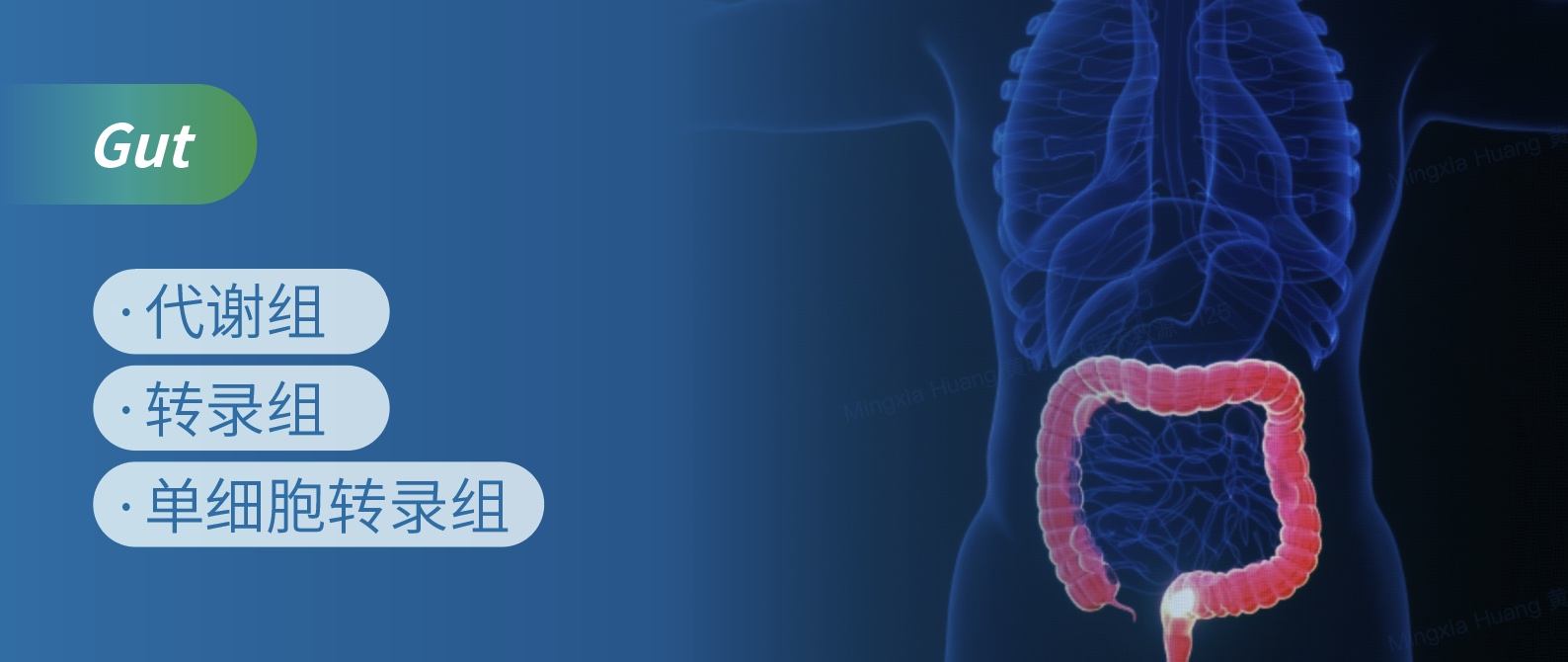 Fructose通过肿瘤-基质串扰驱动结直肠癌机制研究