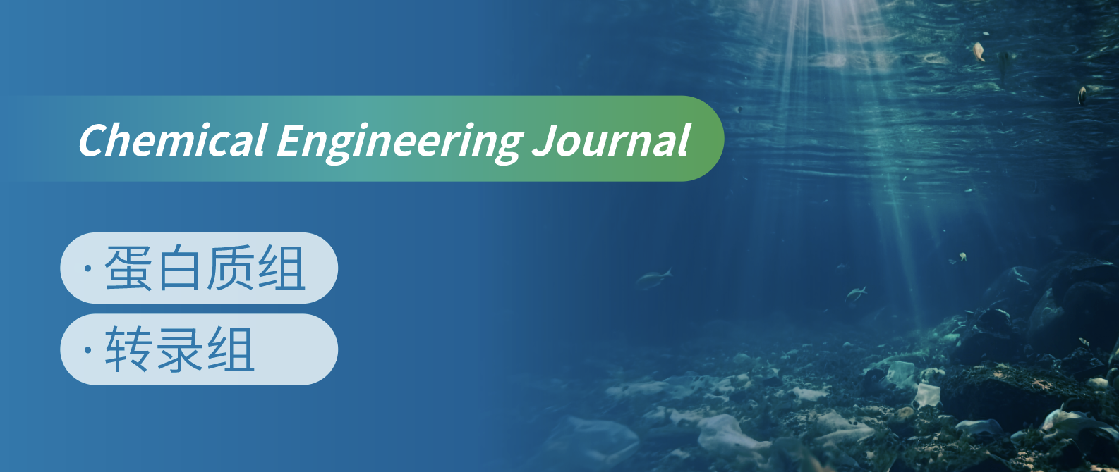 蛋白组与转录组双重解析微生物除锰的调控机制