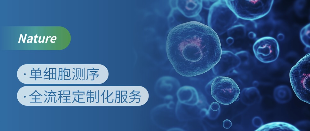 单细胞多组学助力发现T细胞耗竭新机制