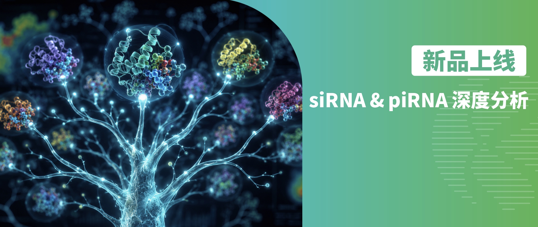 新品上线｜siRNA & piRNA 深度分析，解锁small RNA研究“隐藏副本”